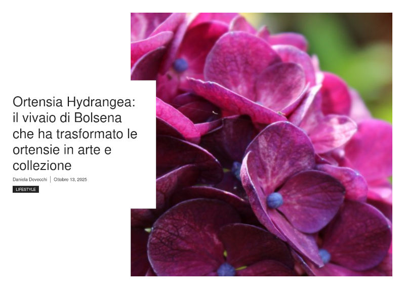 Leggi l'articolo di Daniela Devecchi su alphabetcity.it Leggi l'articolo di Daniela Devecchi